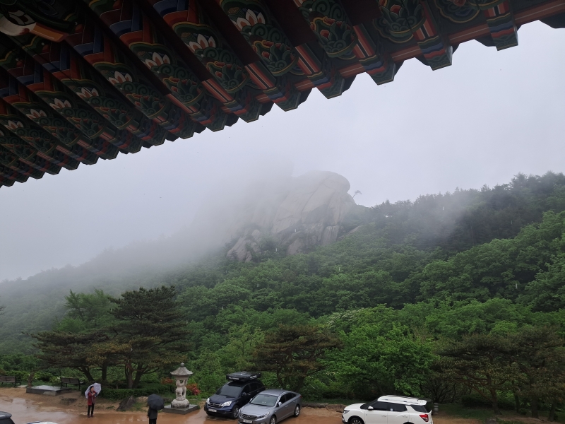 20240505_130245.jpg 이미지