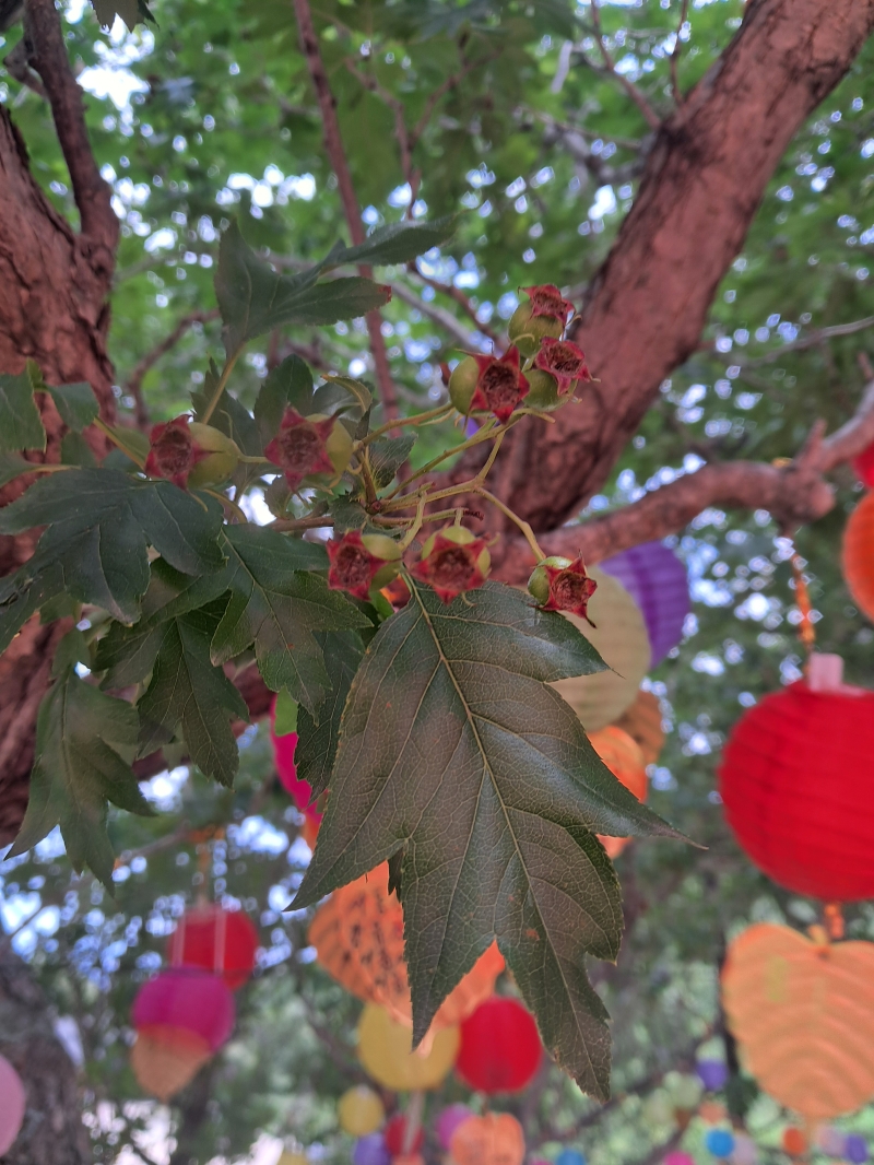 20240701_131328.jpg 이미지